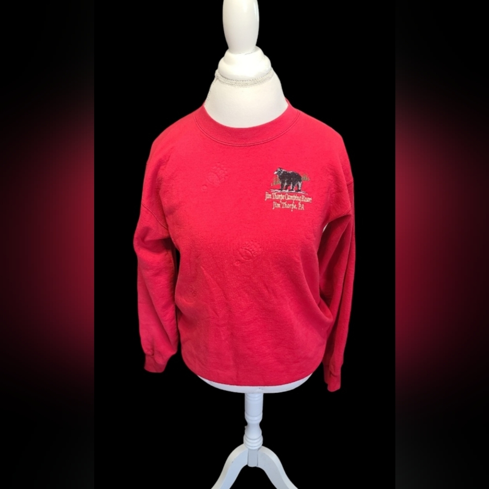 Pocono Mountains Swearshirt Sz S
